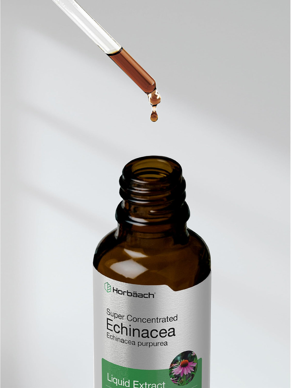 Horbaach Echinacea Drops Herb Tincture | 2 fl oz