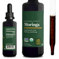Moringa Oleifera Liquid Extract Drops, Organic, Vegan, Max Absorption