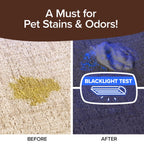 Bull Shot Carpet Spot & Stain Remover, AS SEEN ON TV, Made In USA, Just Point & Spray, Stain-Lifting Foam-Action, Pet Stains & Odors, Coffee, Soda, Wine, Stains, 2 Pack