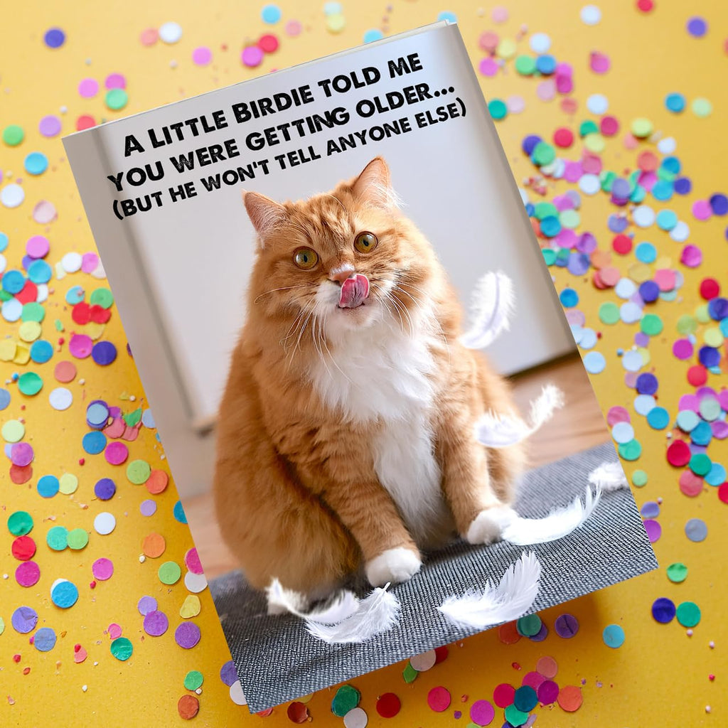 Funny Birthday Card for Women, Men, Friends! Hilarious Cat, Bird Photo Joke