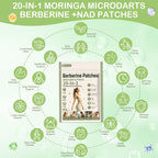 GLPLUS-1 Patches,Berberine Patch, Moringa Microdarts Berberine +NAD Patches, 20-in-1 Nano Patch with L Glutamine, Chromium, Moringa,Pomegranate and Cinnamon for Men & Women - 60Pcs
