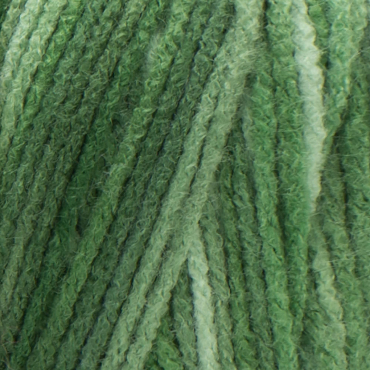 Red Heart E300.0629 Super Saver Economy Yarn, Green Tone