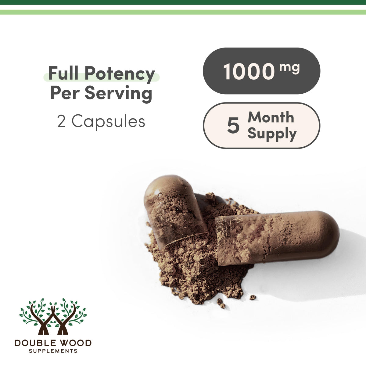Reishi 1,000mg 4:1 Extract, Immune, Stress + Sleep Support, 300 Capsules