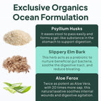 Organics Ocean Better Fiber - Daily Fiber Supplement - Soften Stool for Effortless Bowel Movements - with Psyllium Husk and Slippery Elm - 3 Bottles