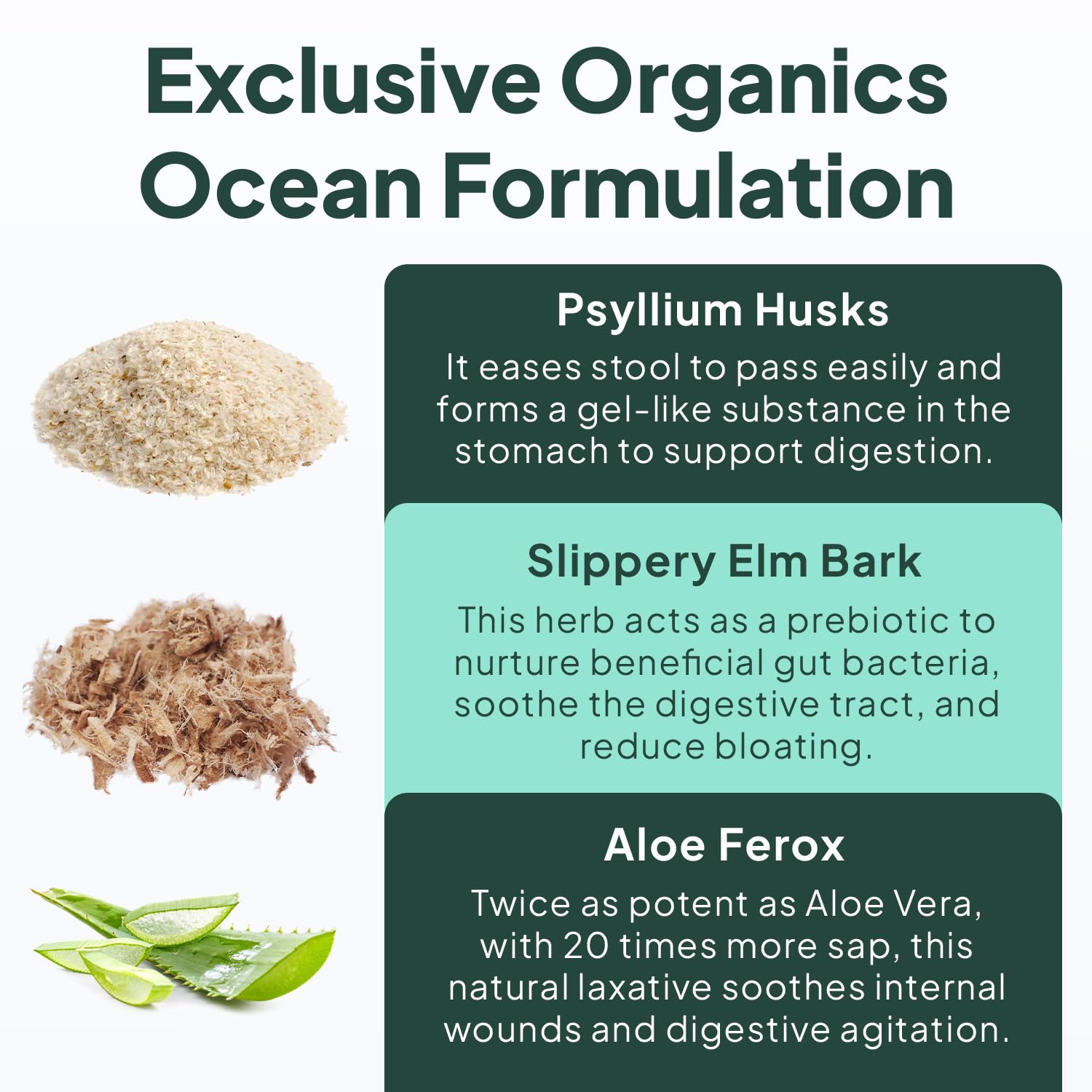 Organics Ocean Better Fiber - Daily Fiber Supplement - Soften Stool for Effortless Bowel Movements - with Psyllium Husk and Slippery Elm - 3 Bottles