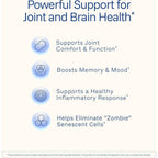 Buy now ProHealth Turmeric Curcumin Supplement: 285 Times More Bioavailable- Developed by Neuroscientists. 1000 mg Concentrated Longvida Curcumin Extract Per Serving (60 X 500mg Capsules Per Bottle) at indiglob india