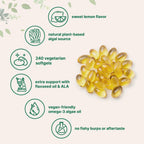 Micro Ingredients Vegan Omega 3 Algae Oil, 240 Veggie Softgels | Fish Oil Alternative | DHA 500mg & DPA 100mg | Carrageenan Free | Plant-Based Omega 3 with Flaxseed & ALA | Lemon Flavored
