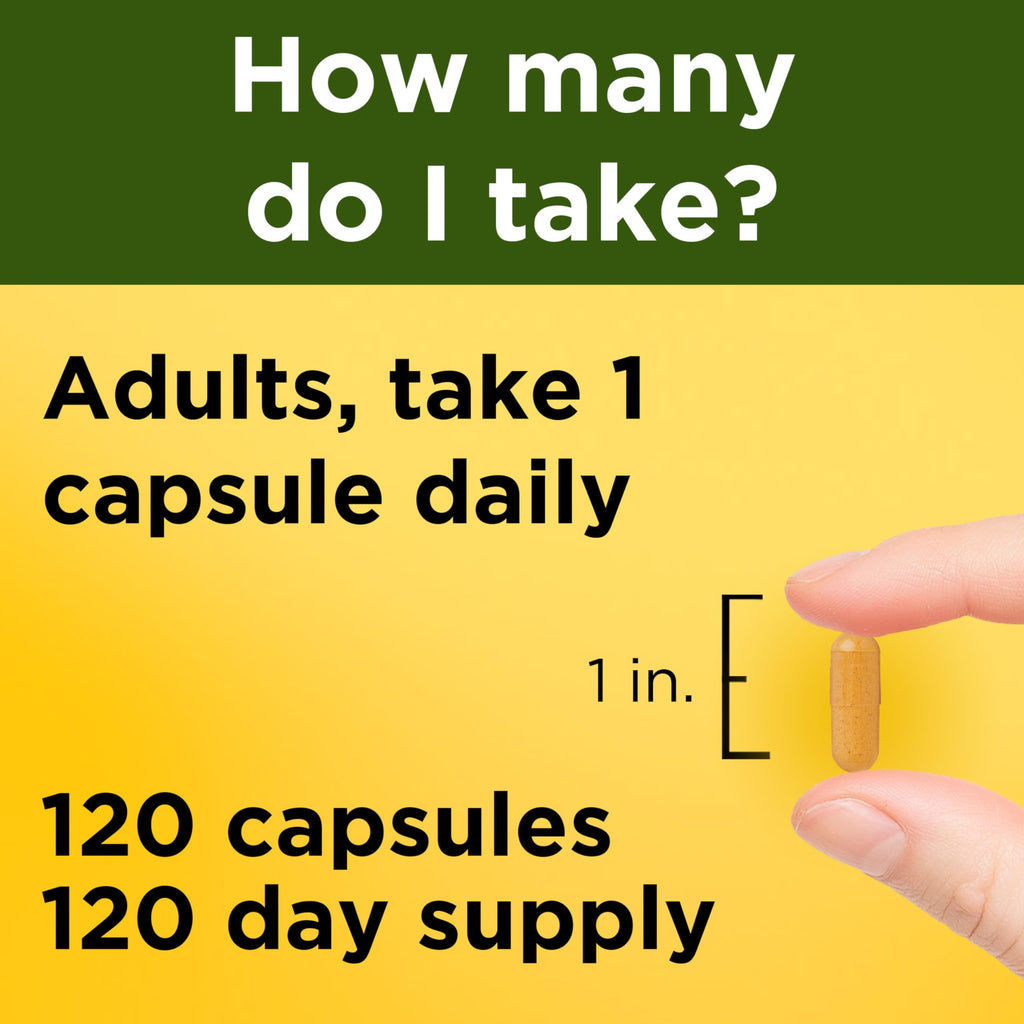 Nature Made Turmeric Curcumin 500 mg, Herbal Supplements, 120 Capsules | Turmeric Curcumin Supplement for Antioxidant Support, Gluten Free, 120 Day Supply