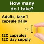 Nature Made Turmeric Curcumin 500 mg, Herbal Supplements, 120 Capsules | Turmeric Curcumin Supplement for Antioxidant Support, Gluten Free, 120 Day Supply