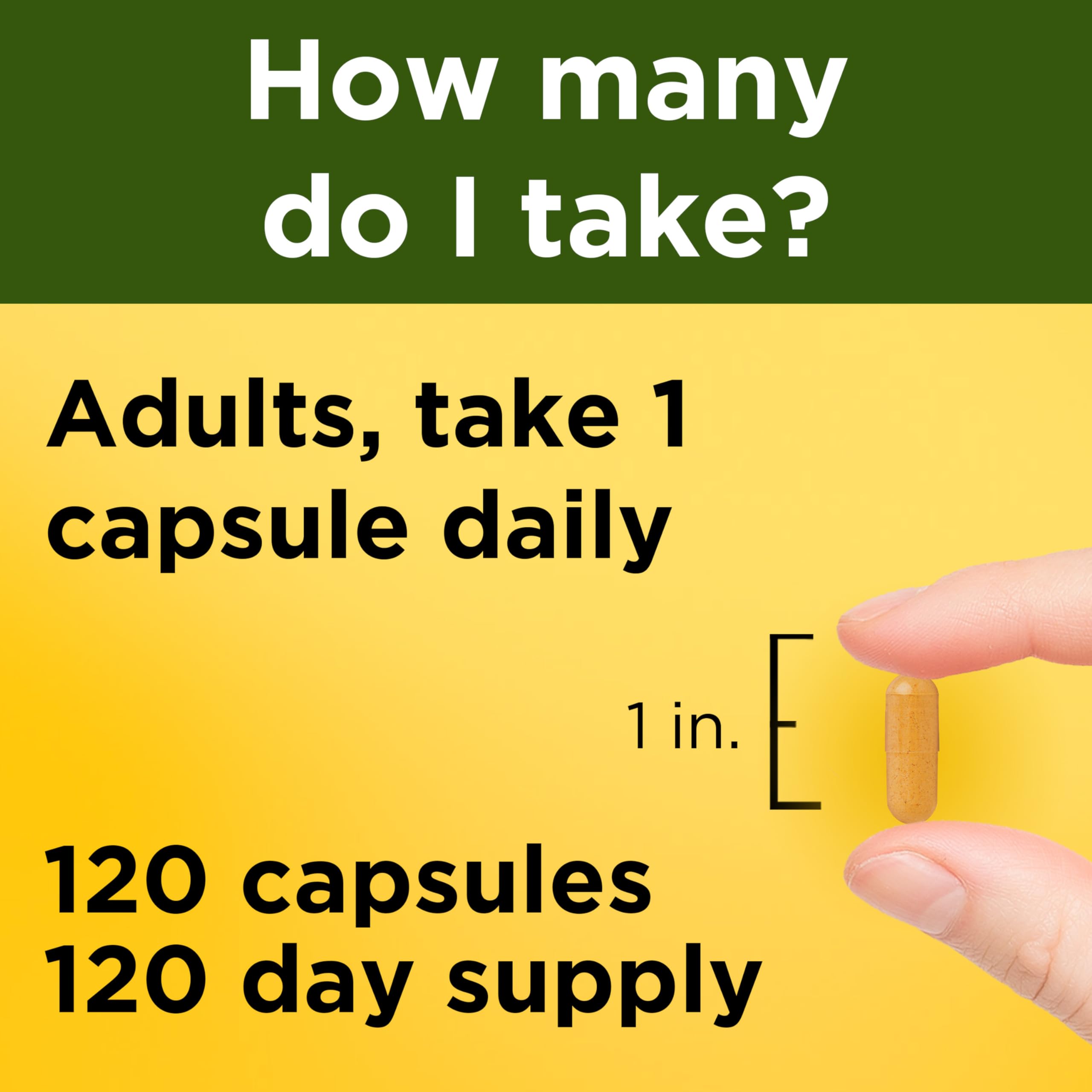 Nature Made Turmeric Curcumin 500 mg, Herbal Supplements, 120 Capsules | Turmeric Curcumin Supplement for Antioxidant Support, Gluten Free, 120 Day Supply