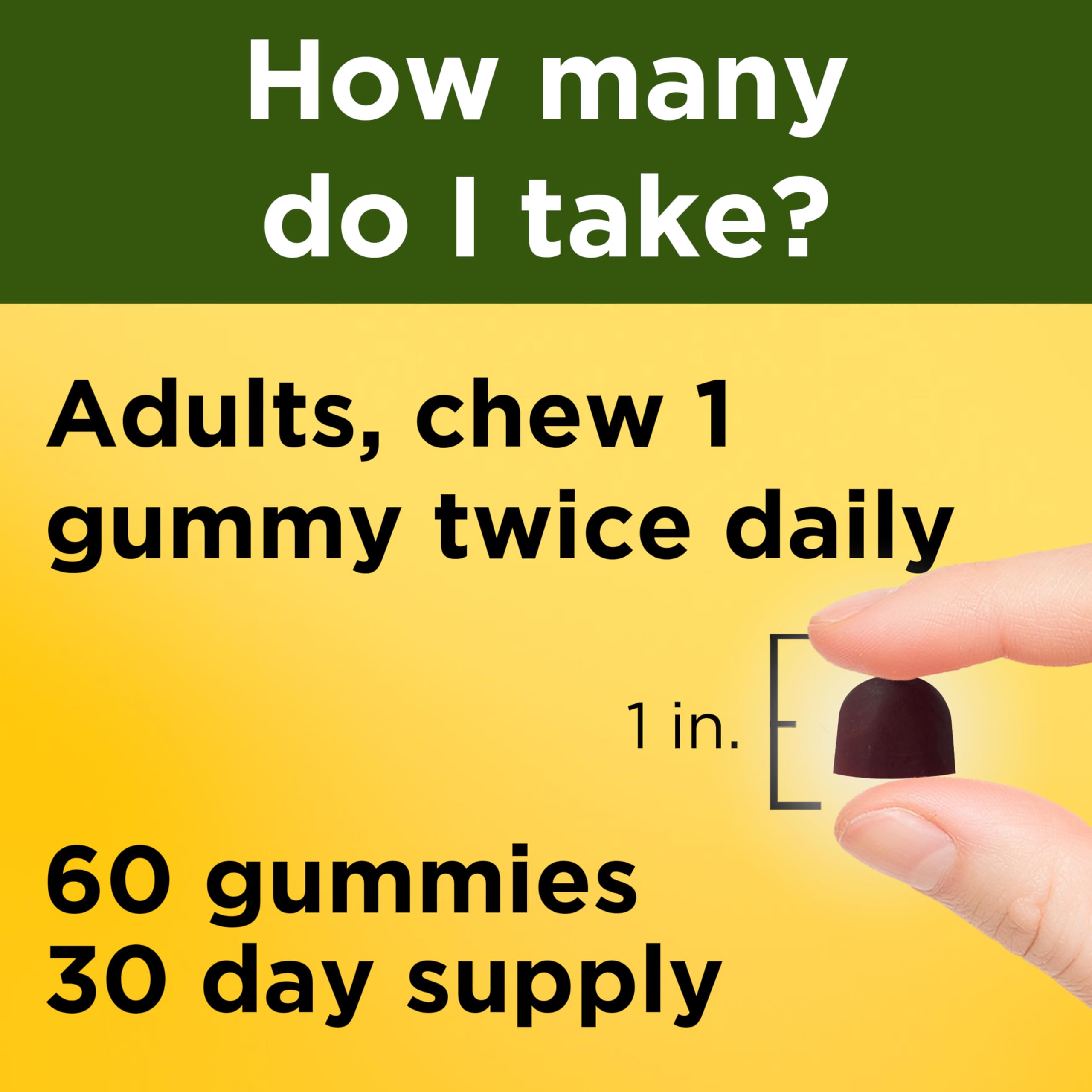 Nature Made Ashwagandha Gummies, 60 Vegan Gummies | KSM 66 Ashwagandha Supplement for Stress Support, 100% Drug Free, Gluten Free, Mixed Berry Flavor, 30 Day Supply
