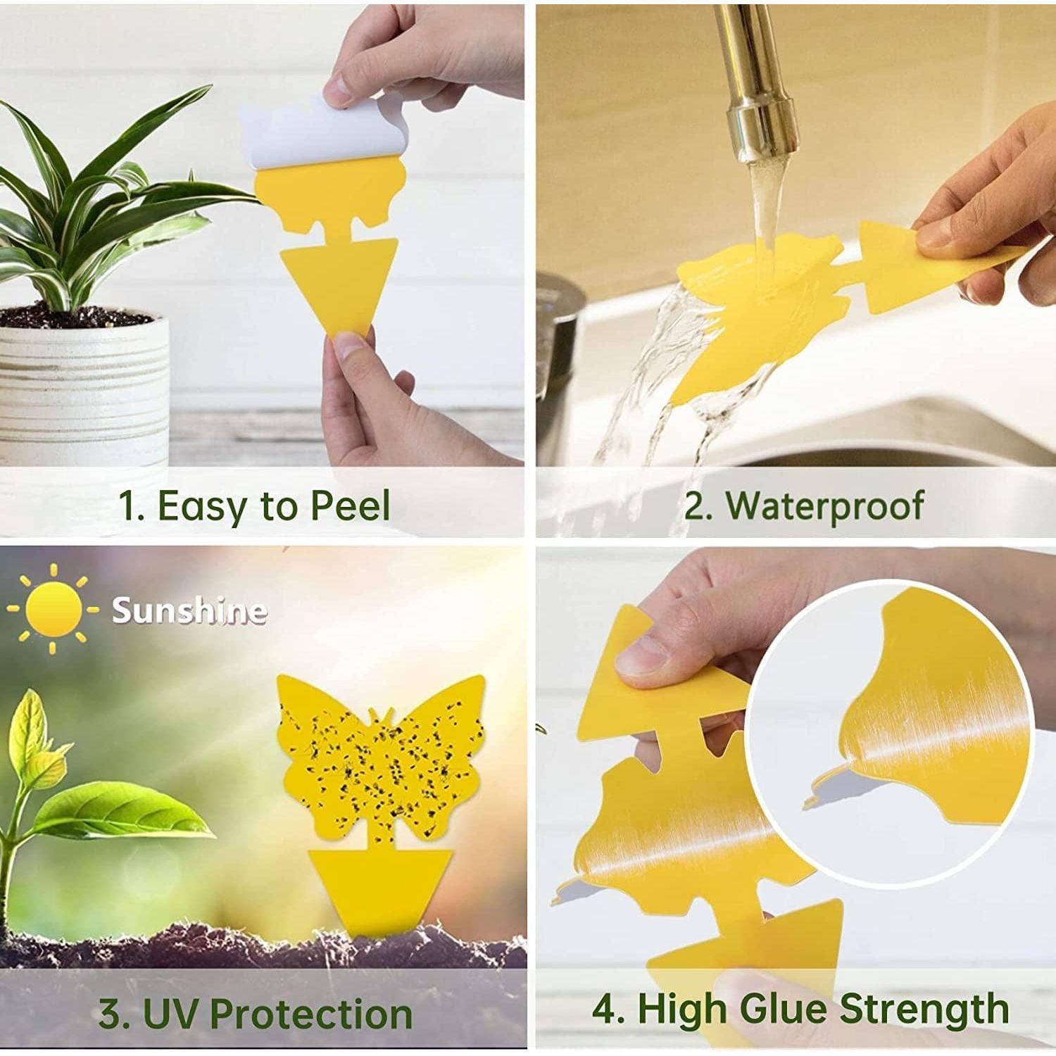 Buy now 36 Pack Fruit Fly Traps for Indoors, Gnat Traps for House Indoor, Sticky Traps Fungus Gnats Killer for Mosquito and Flying Insects, Bug Pest Insect Catcher Killer for Houseplant at indiglob india