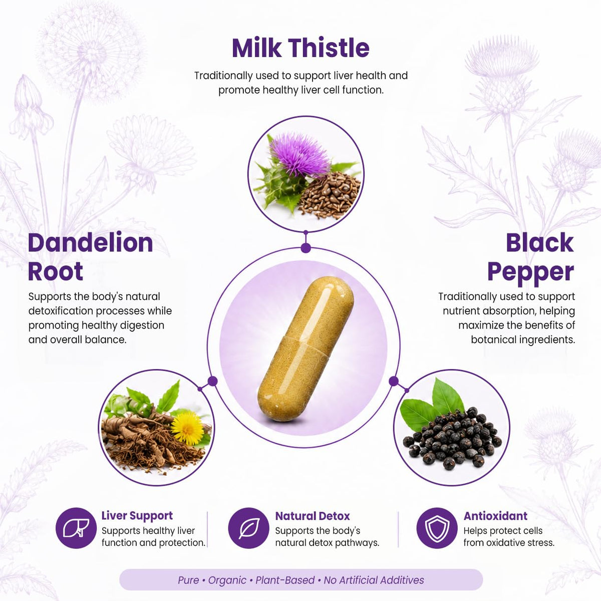 Max Absorption USDA Organic Milk Thistle Potent 5:1 Concentrated Extract (2000mg Strength) & Organic Dandelion Root | Silymarin Antioxidant Flavonoid | Liver Support Supplement (60 Count (Pack of 1))