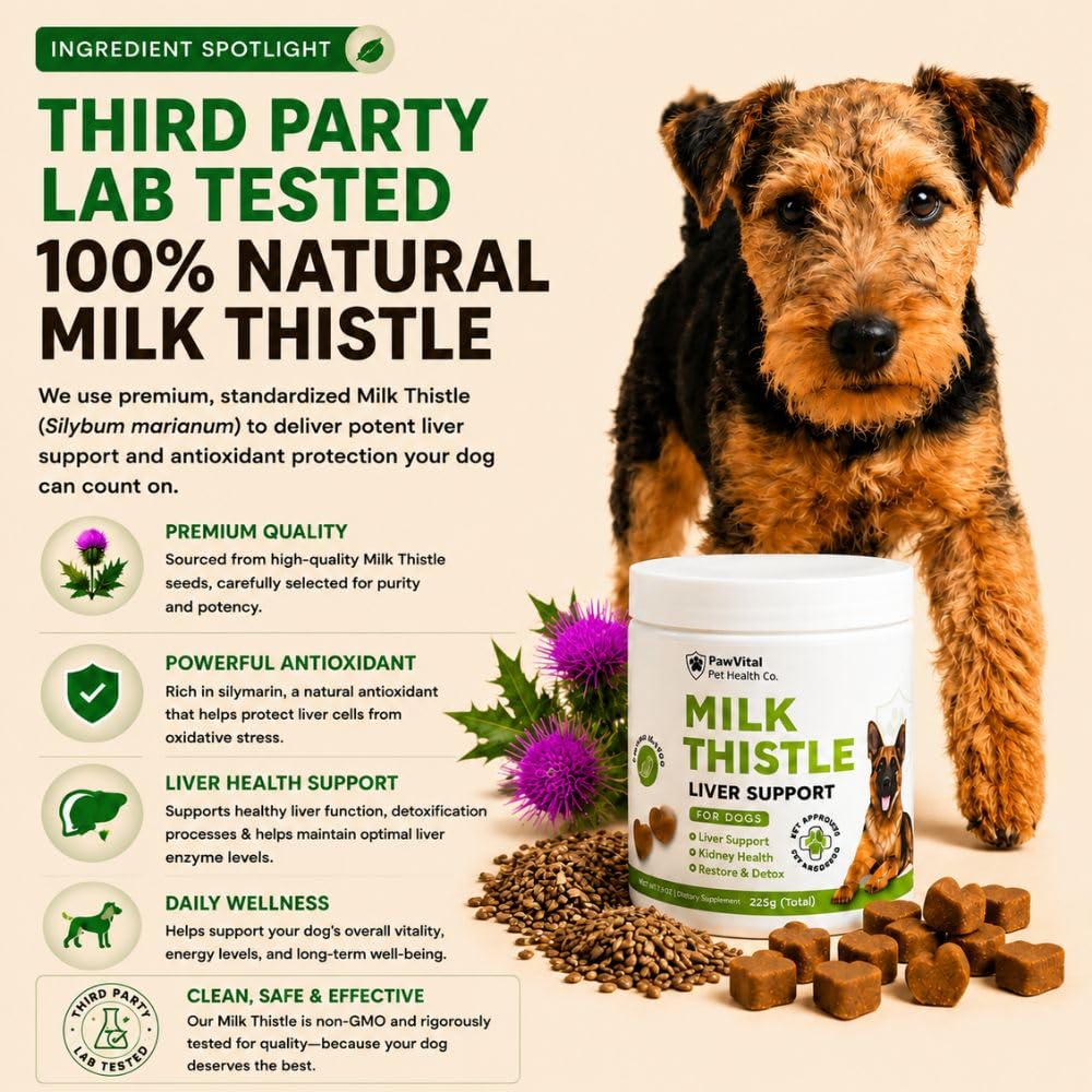 Milk Thistle for Dogs - Max Strength Liver Support Chews, Wild Alaskan Salmon Oil & Curcumin - Kidney Detox & Hepatic Support - Natural Liver Support Chews Made with Real Chicken, Choline & NAC