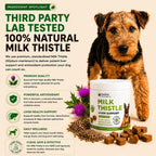Milk Thistle for Dogs - Max Strength Liver Support Chews, Wild Alaskan Salmon Oil & Curcumin - Kidney Detox & Hepatic Support - Natural Liver Support Chews Made with Real Chicken, Choline & NAC