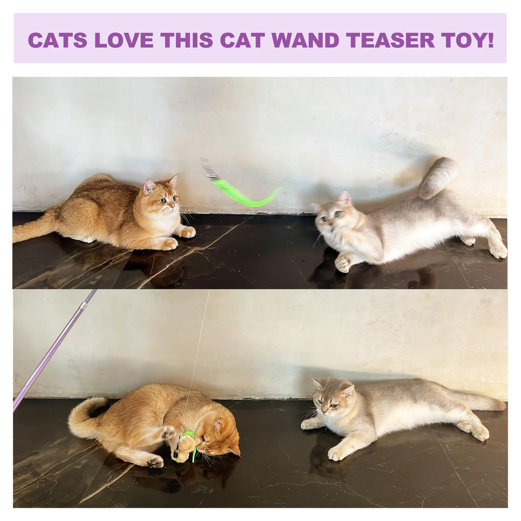 Cat Toys 11Pcs Cat Wand Worm Feather Refills for Indoor Cats