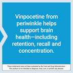 Life Extension Vinpocetine, Periwinkle Extract, 100 Tablets