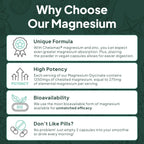 Organics Ocean Pure Magnesium Glycinate with Zinc - Maximum Strength Chelated Magnesium Supplement for Women and Men for Muscle Cramps and Sleep Support - 6 Bottles