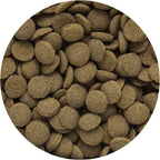 Buy now Hikari Tropical Sinking Wafers for Catfish, Loaches and Bottom Feeders 3.88 oz at indiglob india