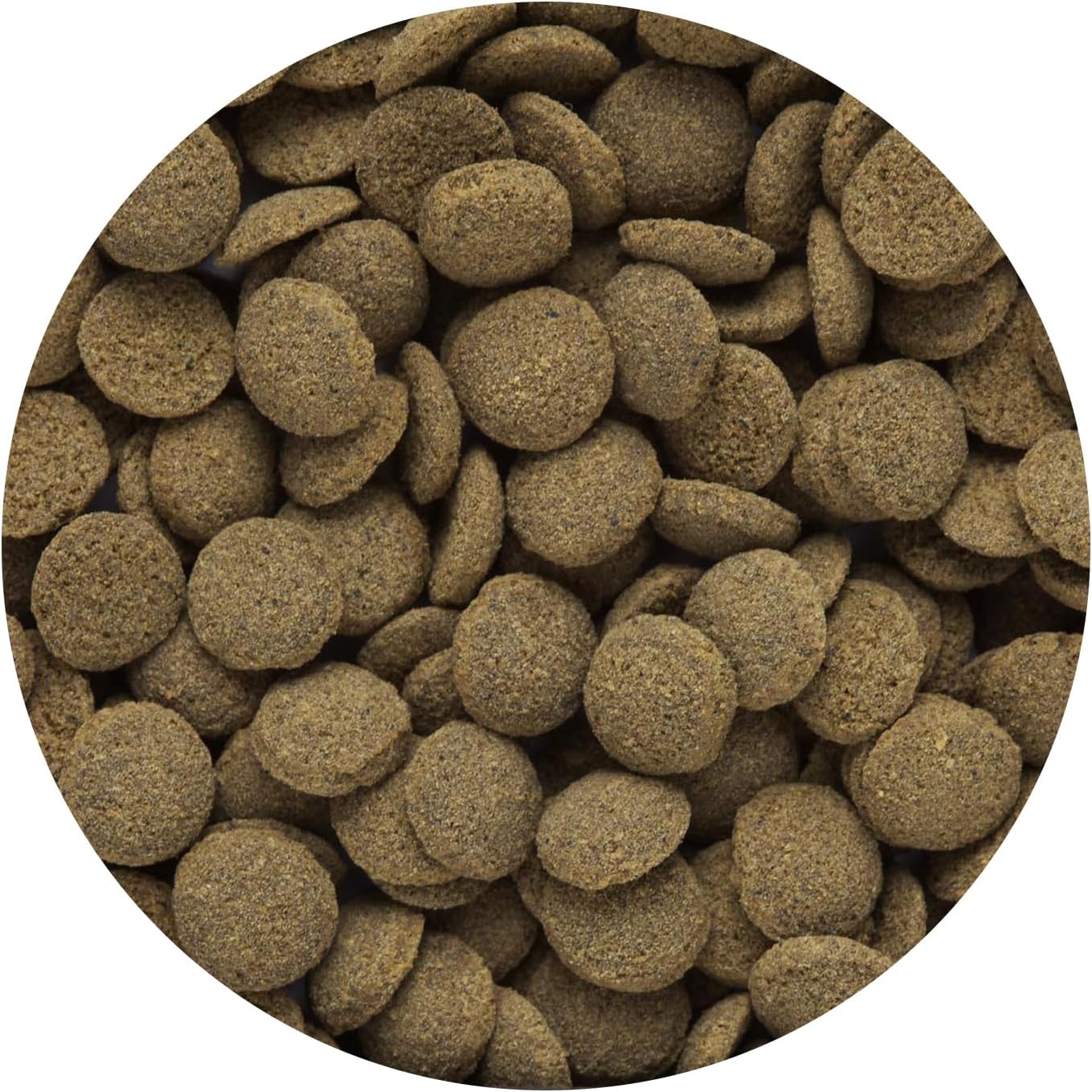 Buy now Hikari Tropical Sinking Wafers for Catfish, Loaches and Bottom Feeders 3.88 oz at indiglob india