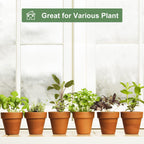 Orceler 4 Inch Terracotta Pots with Saucer - 6 Pack Small Clay Plant Pots with Drainage Holes, Flower Pots with Tray, Terra Cotta Pots for Indoor Outdoor Plants, Crafts, Wedding Favor