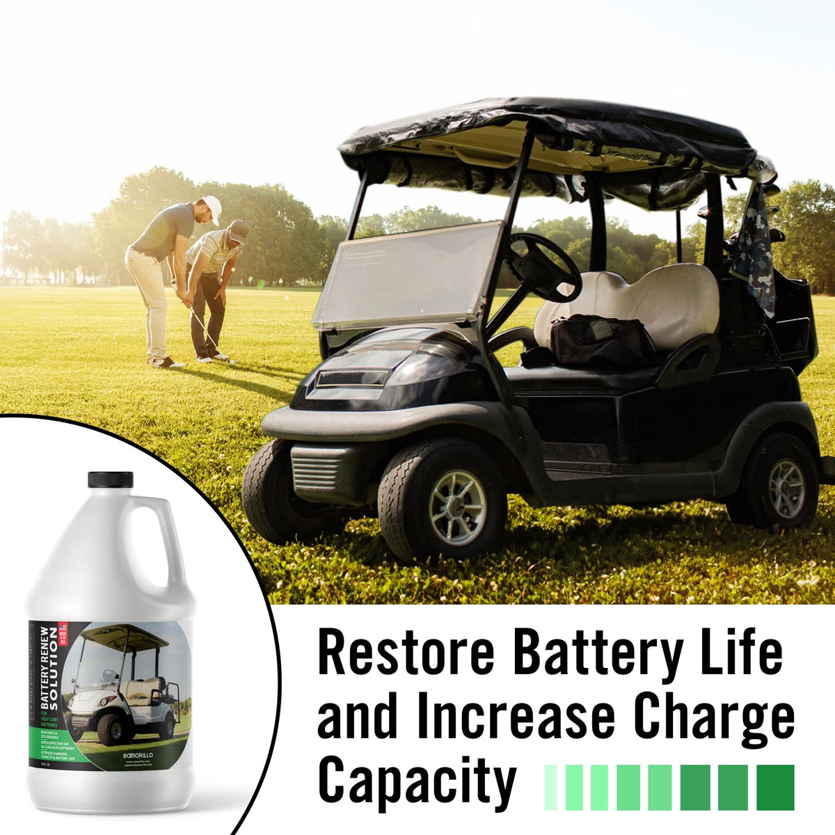 Battery Renew Solution for Golf Cart Batteries - Lead Acid Restore, 64 oz