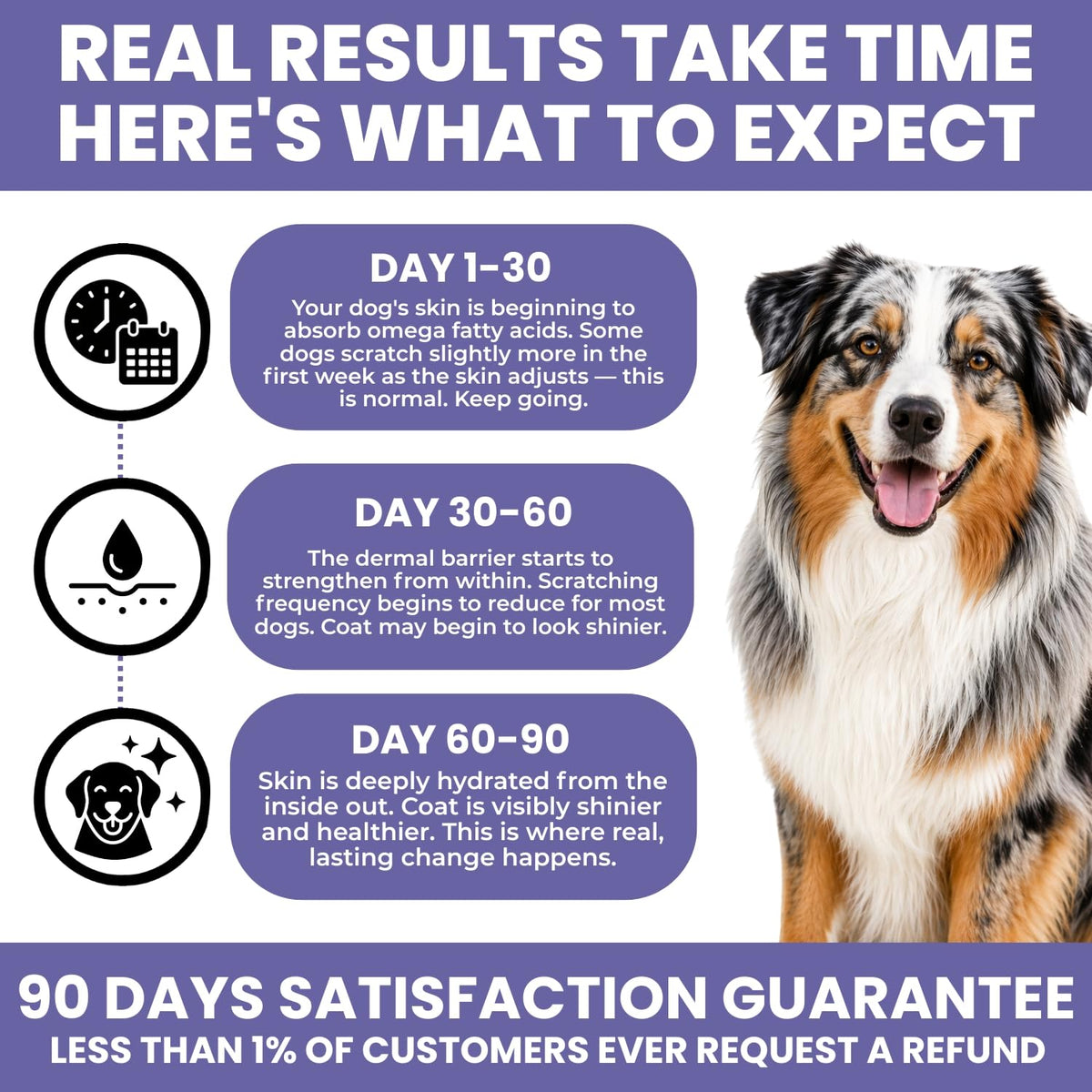 Skin & Coat Supplement for Dogs - Omega 3 6 9 Fish Oil & Vitamin E Soft Chews - Dog Itch Relief, Anti-Shedding & Shiny Coat Support for All Breeds, 90 Count