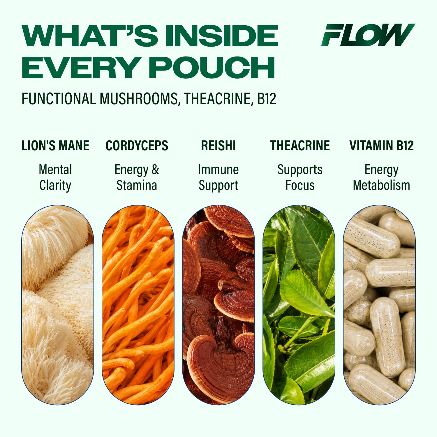 Mushroom Nootropic Pouches, 600mg Lion's Mane Reishi Cordyceps Energy Pouches for Focus and Clean Energy, Caffeine Free Sugar Free Nicotine Free, Now Made in USA (5 Cans, Wintergreen)
