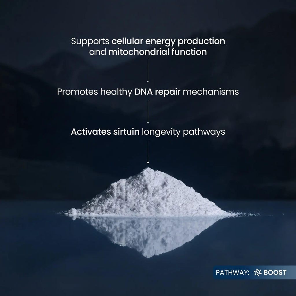 Renue By Science NMN Powder | 100g Fast Dissolve Powder Supplement | 500mg Nicotinamide Mononucleotide per Serving | Manufactured in the USA Third-Party Tested