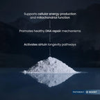 Renue By Science NMN Powder | 100g Fast Dissolve Powder Supplement | 500mg Nicotinamide Mononucleotide per Serving | Manufactured in the USA Third-Party Tested