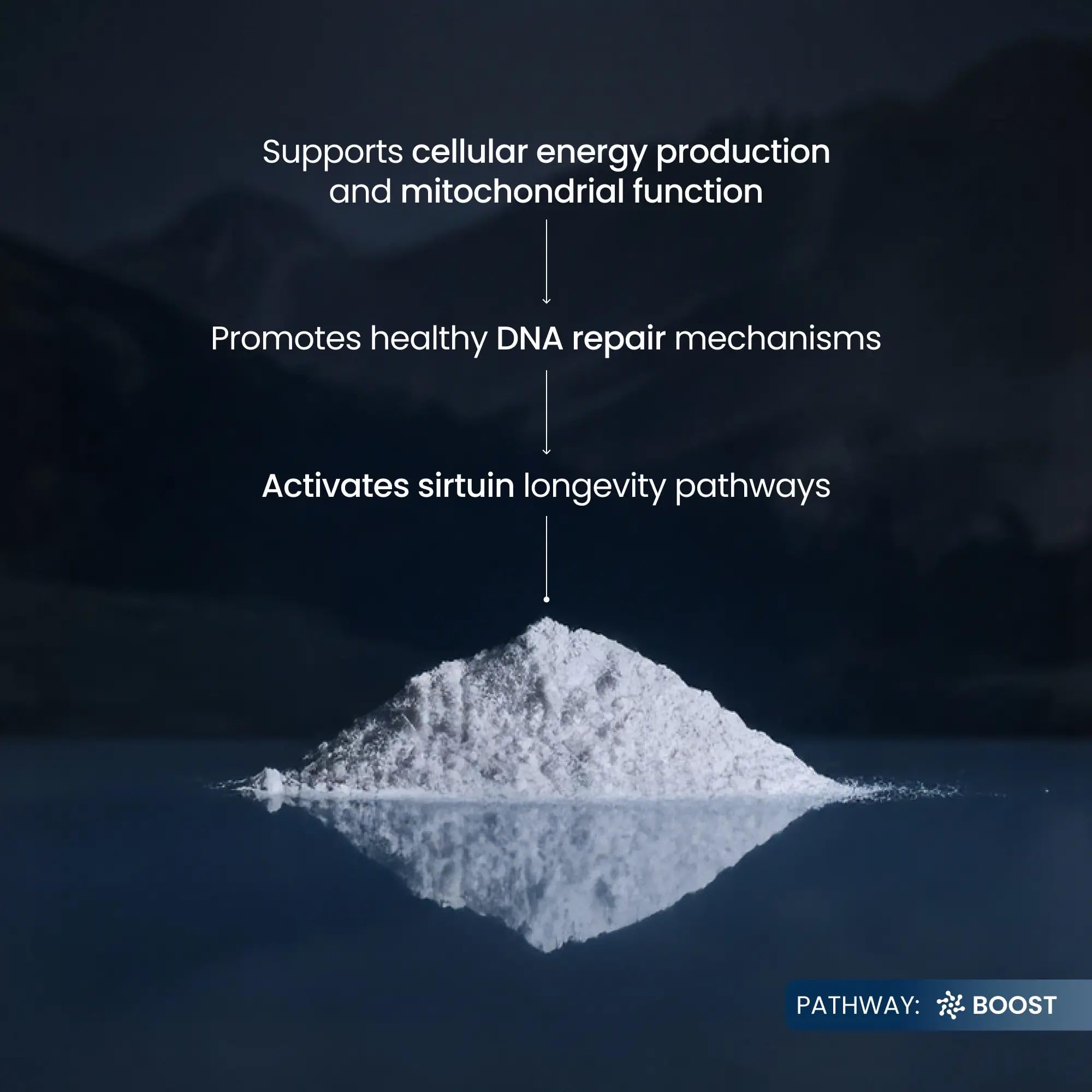 Renue By Science NMN Powder | 100g Fast Dissolve Powder Supplement | 500mg Nicotinamide Mononucleotide per Serving | Manufactured in the USA Third-Party Tested