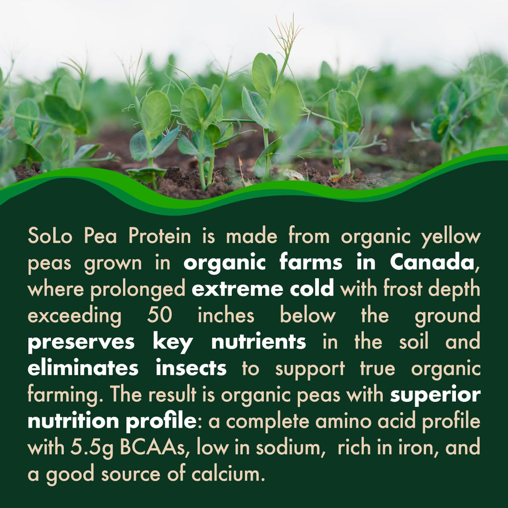SOLO Organic Pea Protein Isolate, Unflavored Vegan Protein Powder (2.7 lbs)