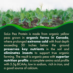 SOLO Organic Pea Protein Isolate, Unflavored Vegan Protein Powder (2.7 lbs)