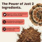 Turkey Tail Mushroom for Dogs – Turkey Tail Mushroom Powder with Probiotics for Immune and Digestive Support, Supports Lumps and Bumps, Bacon Flavored Daily Dog Supplement