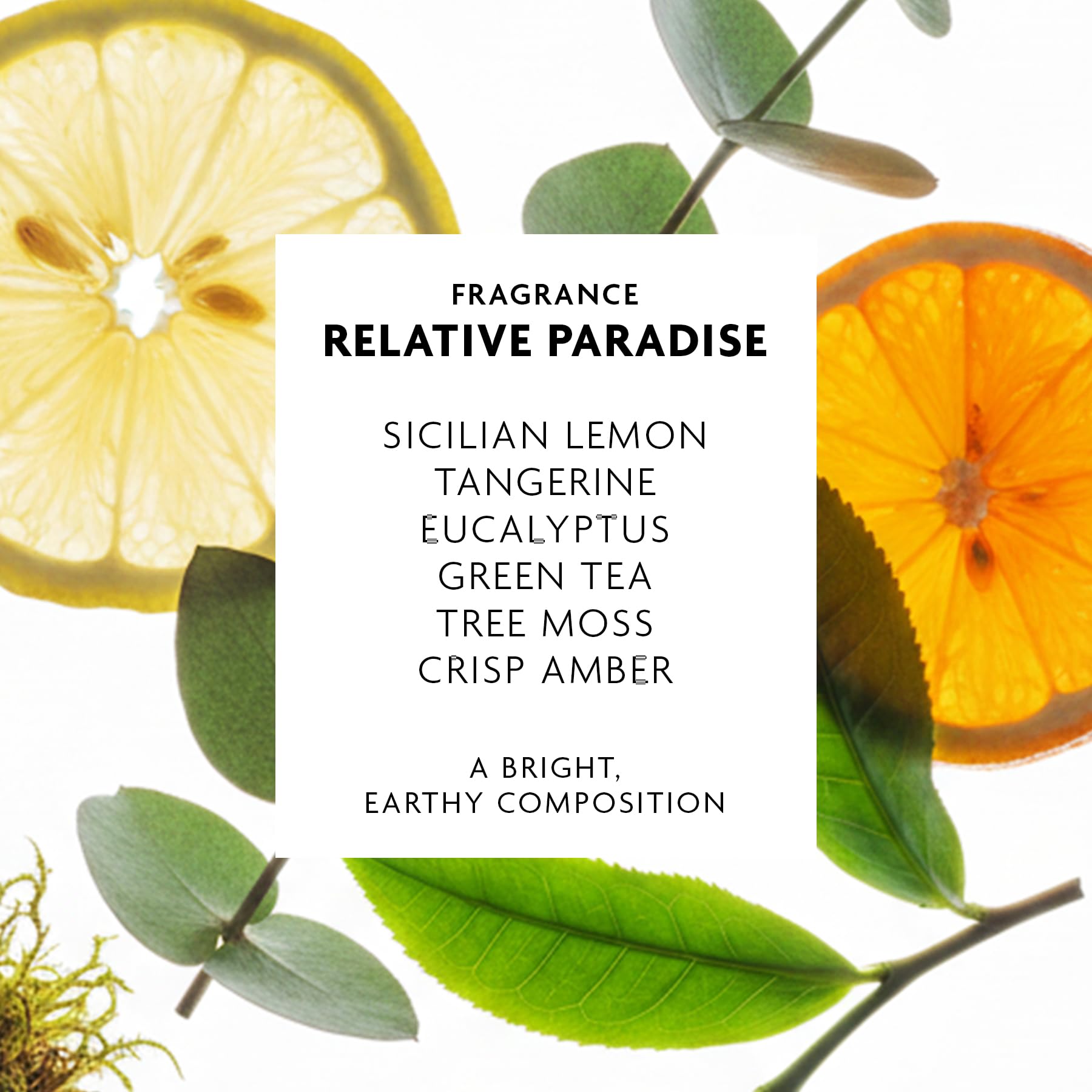 R+Co Badlands Dry Shampoo Paste, Dry Shampoo + Styling Paste | Adds Texture & Absorbs Oil with Matte Finish, Vegan + Cruelty-Free