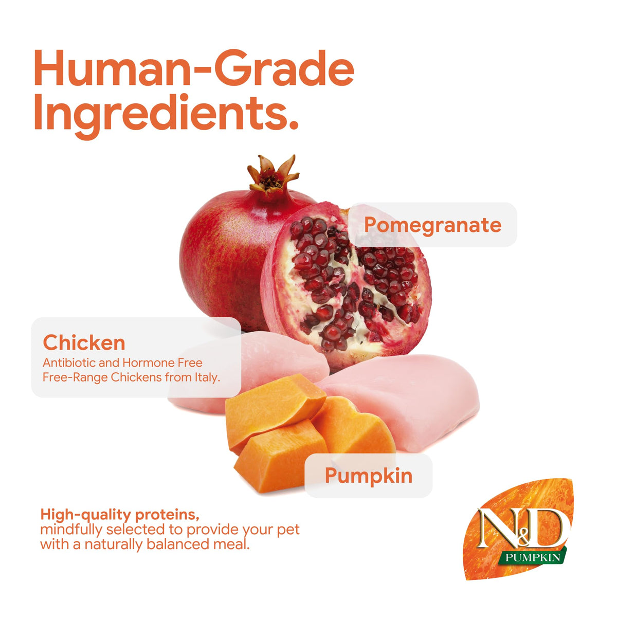 Mini Breed Adult Grain Free Pumpkin Chicken & Pomegranate Dry Dog Food by Farmina