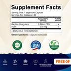 Vitamatic Bacillus Coagulans Shelf Stable Probiotic Supplement - Promote GI Digestive Health - 60 Vegetable Capsules - Survives Stomach Acids