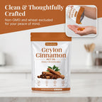 Metabolae Ceylon Cinnamon - 300 Softgels, 12:1 Concentrated Cinnamon Extract with MCT Oil, High Absorption Formula, Daily Wellness Support Supplement, Non-GMO & Gluten-Free