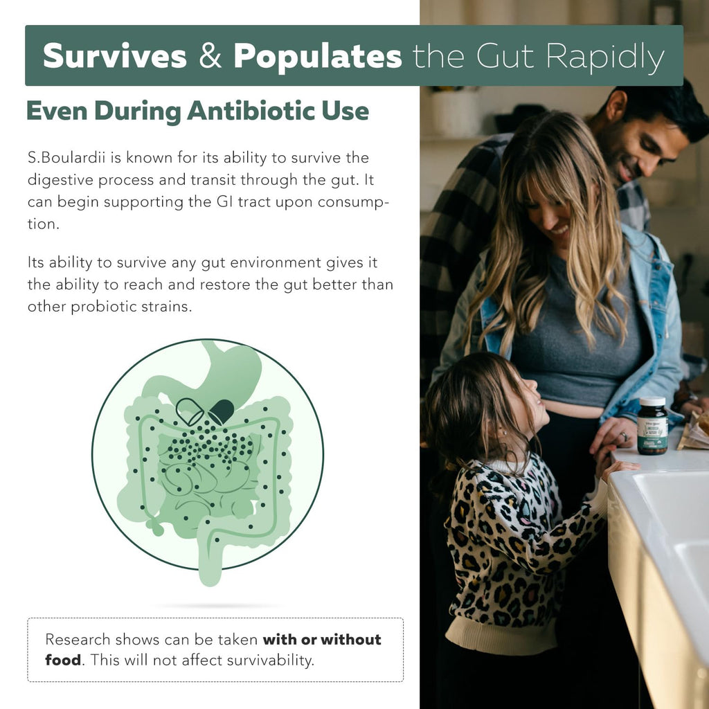 Organic Saccharomyces Boulardii - 10 Billion CFU, Clinically Validated