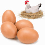 SunGrow Fake Eggs for Laying Hens in Chicken Coop, Train to Lay Inside Nest Box, Beige, 4 Pcs per Pack