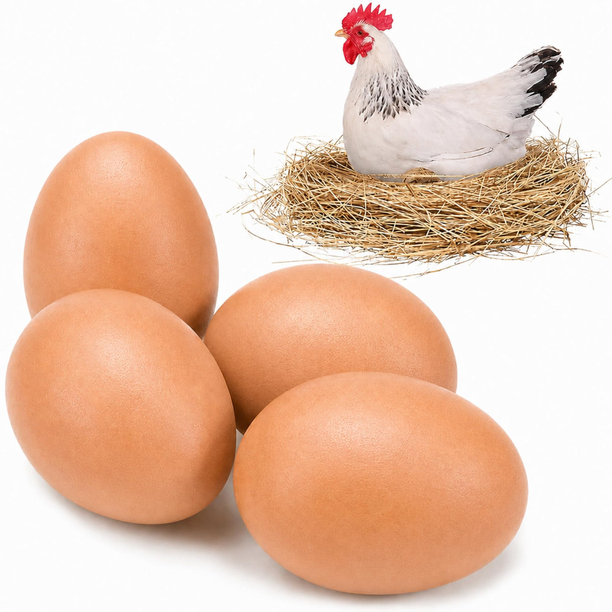 SunGrow Fake Eggs for Laying Hens in Chicken Coop, Train to Lay Inside Nest Box, Beige, 4 Pcs per Pack