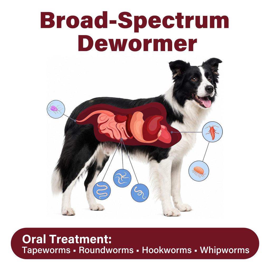 Dewormer for Dogs（Fenbendazole），Treatment and Control of Tapeworm，Roundworm，Hookworm，Whipworms，Lungworm & Giardia for All Ages & Breeds Dogs, Palatable Beef Flavor，Easy Dosing，30 Tablets
