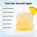 Ü Relax 2.0 Powder Drink Mix, Pineapple, Ashwagandha & L-Theanine, Adaptogens, Cortisol, Sleep Aid, Ready-to-Mix, Sugar Free, Zero Calorie, 20 Stick Packs