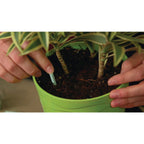 Miracle-Gro Indoor Plant Food Spikes, 48 Spikes (2-Pack)