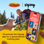 Zuke’s Mini Naturals Dog Training Treats for Dogs, Pet Treats Made with Real Chicken, 16 oz