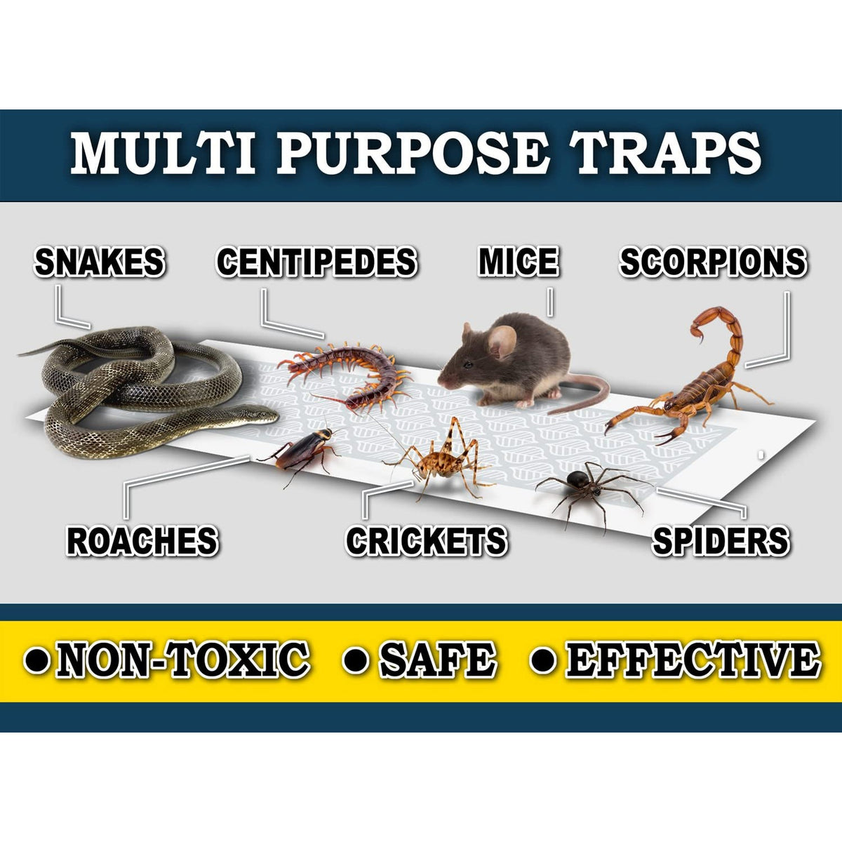 MaxGuard Glue Trap Strips (24 Traps) Non-Toxic Extra Sticky Glue Board Pre-Baited with Fruity Scent Attractant Trap & Kill Insects, Bugs, Spiders, Crickets, Scorpions, Cockroaches, Centipedes, Mice