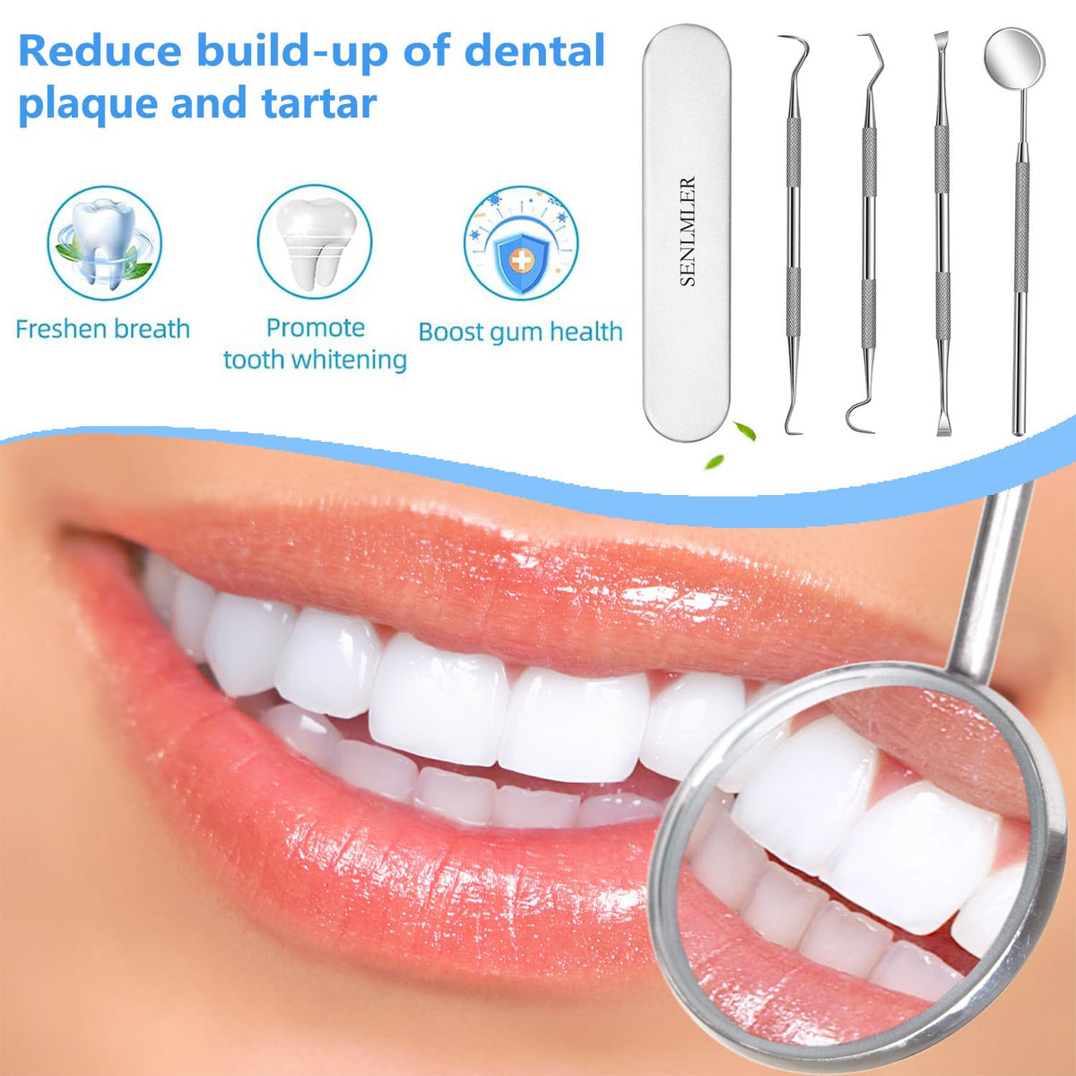 Dental Tools, Professional Plaque Remover Teeth Cleaning Tool Kit, Stainless Steel Dental Pick Tartar Scraper Tooth Cleaner, Oral Care Hygiene Set for Dentist Personal Pets with Storage Box