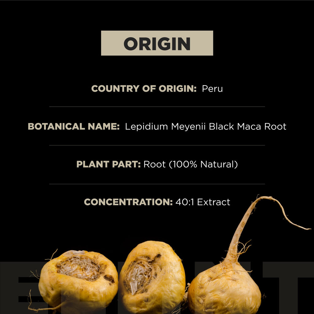 40x Strength Organic Black Maca Root with 15:1 Ashwagandha for Men | #1 Highest Potency Black Maca Root Capsules for Men 40:1 Extract - 100% Pure Maca Peruana Gelatinized Maca Root Powder Pills