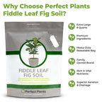 Perfect Plants Fiddle Leaf Fig Soil, 8 qt, Coconut Coir Potting Mix