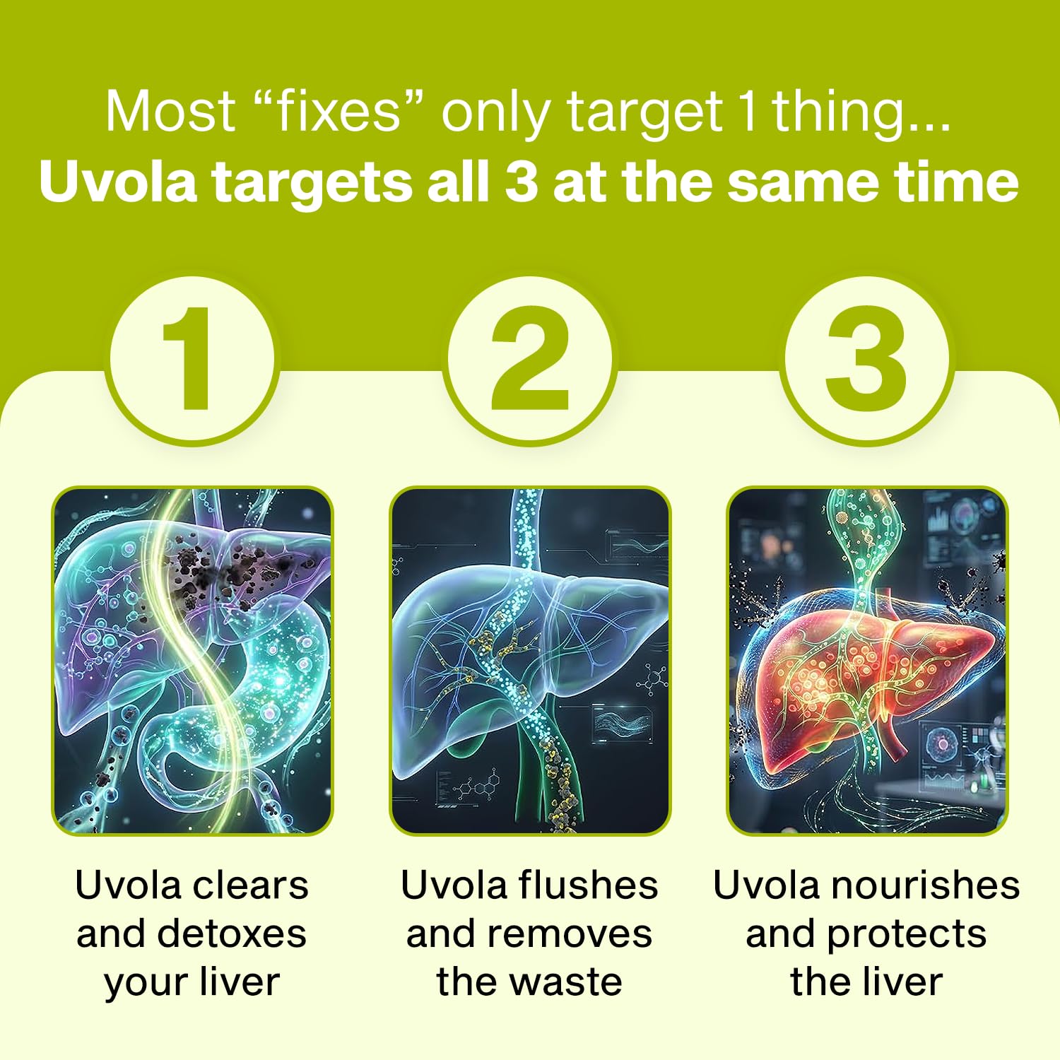 Uvola Milk Thistle Liver Detox - 100% Natural Vegan Support - 60 Capsules | Official Brand, Silymarin, 8 In 1 Blend, Non-GMO, Gluten-Free, Soy-Free, Antioxidant Support, Health Detox